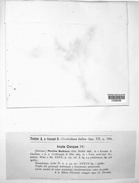 Image Associated With the Occurence